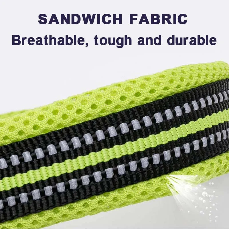 Everyday Reflective Dog Collar - Padded & Adjustable