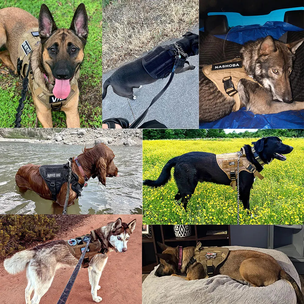 Ranger Tactical Dog Harness - No-Pull & Modular