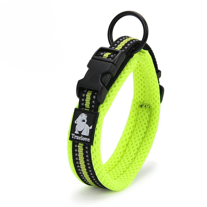 Everyday Reflective Dog Collar - Padded & Adjustable