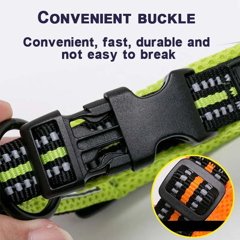 Everyday Reflective Dog Collar - Padded & Adjustable