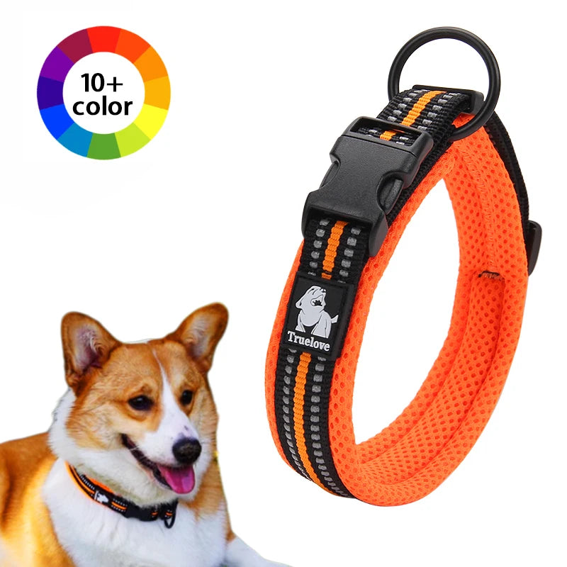 Everyday Reflective Dog Collar - Padded & Adjustable
