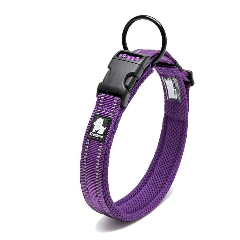 Everyday Reflective Dog Collar - Padded & Adjustable