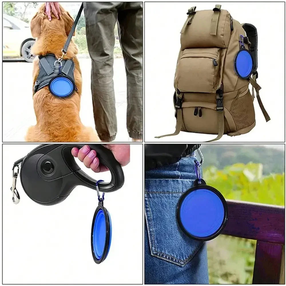 Roam 2-in-1 Travel Bowl - Collapsible & Clip-On