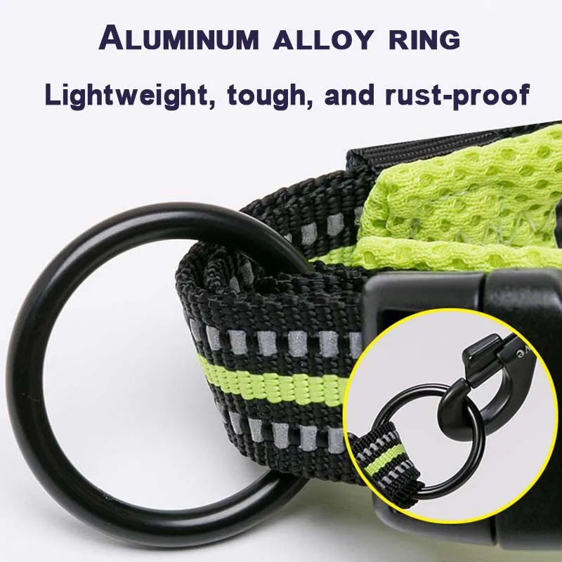 Everyday Reflective Dog Collar - Padded & Adjustable
