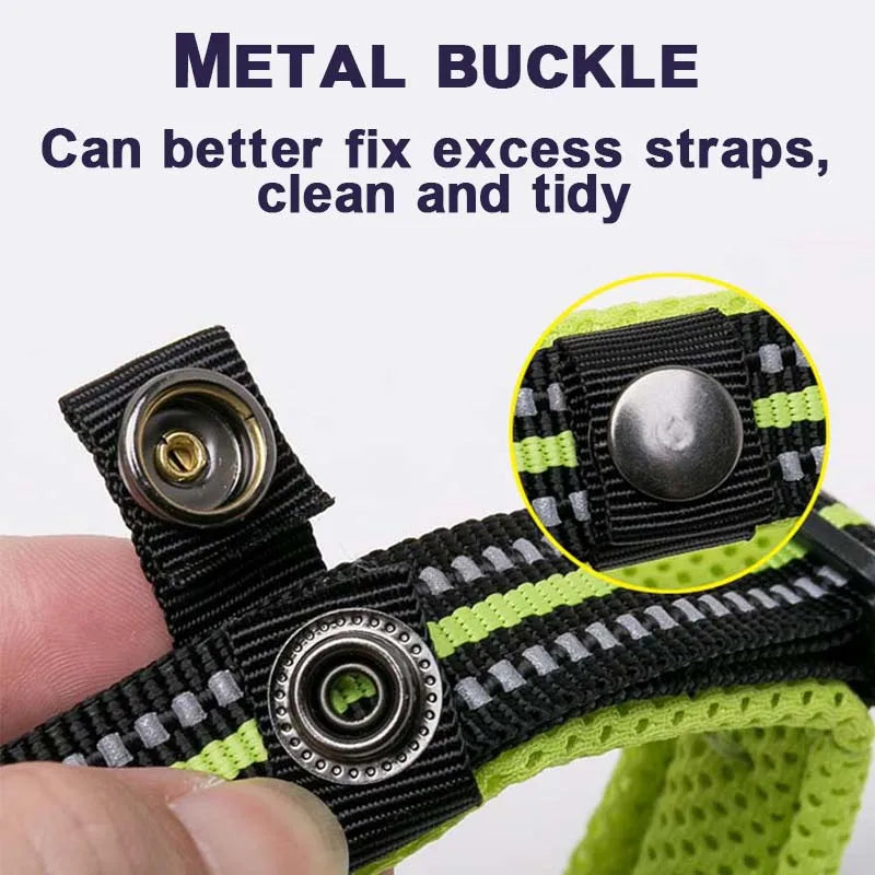 Everyday Reflective Dog Collar - Padded & Adjustable