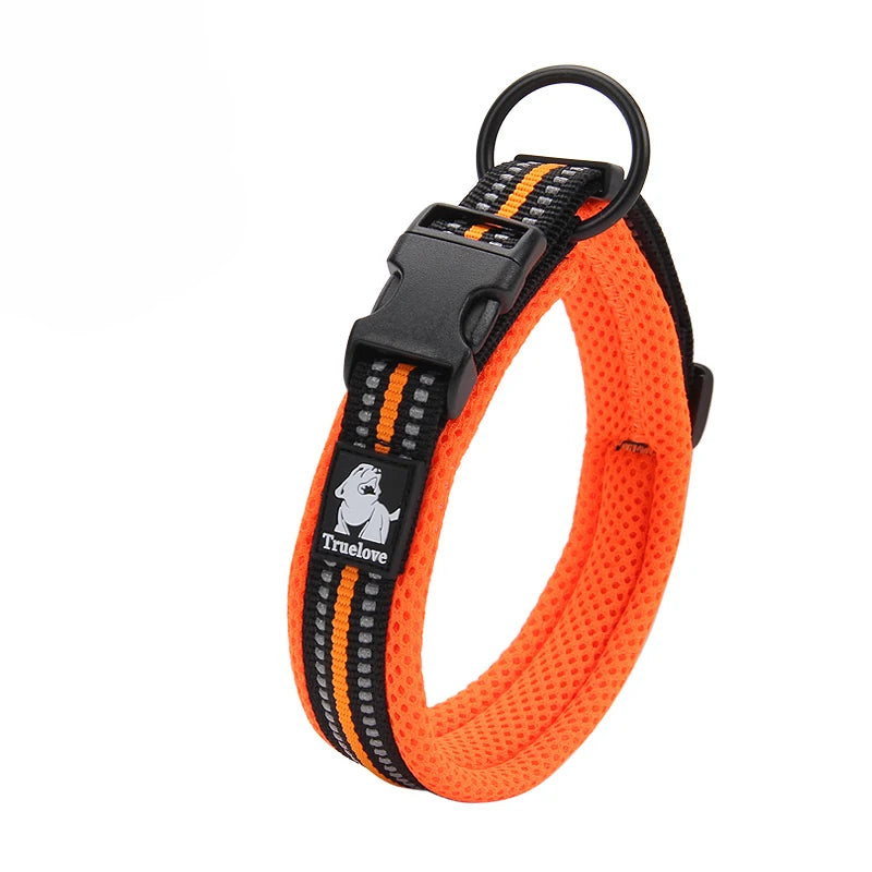 Everyday Reflective Dog Collar - Padded & Adjustable