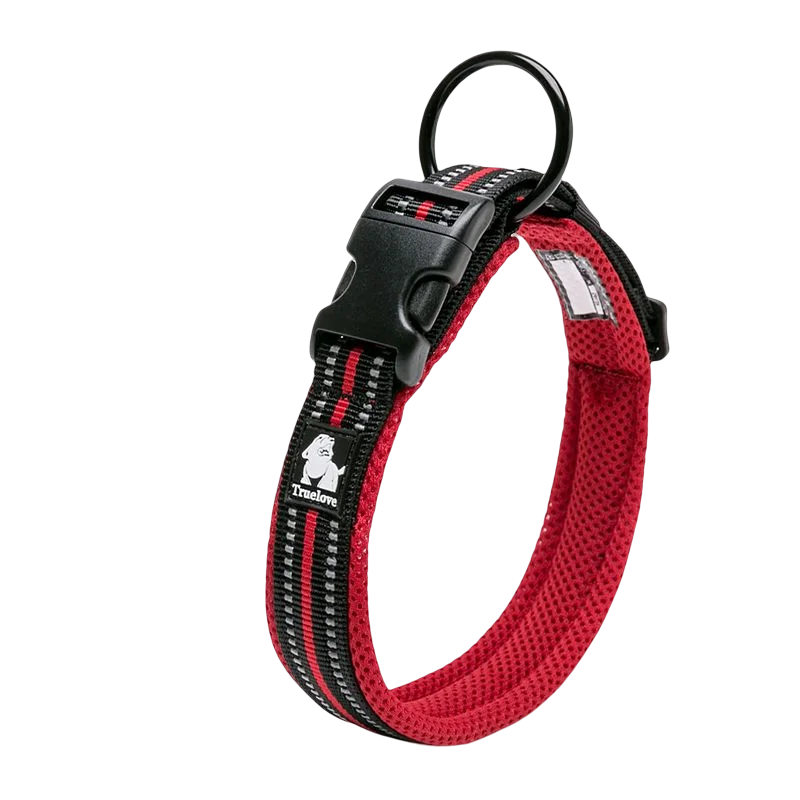 Everyday Reflective Dog Collar - Padded & Adjustable